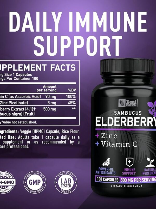 Bronson Sambucus Elderberry with Zinc & Vitamin C in pakistan