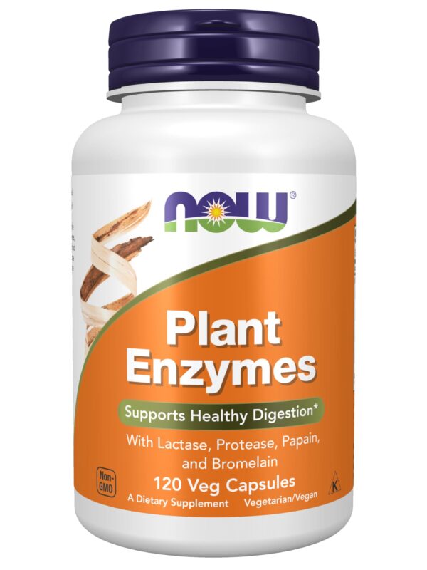 NOW Foods Supplements Plant Enzymes with Lactase in pakistan