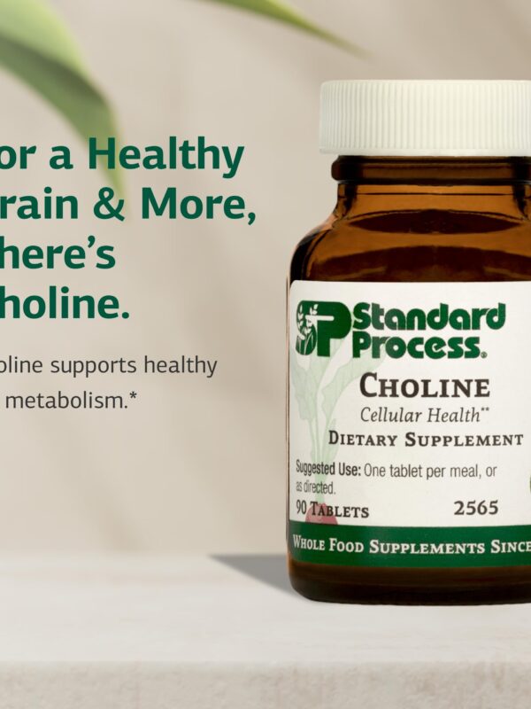 Standard Process Choline Liver Support