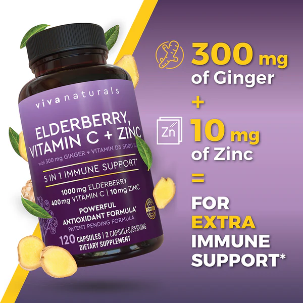 Viva Naturals Elderberry with Vitamin C and Zinc in pakistan